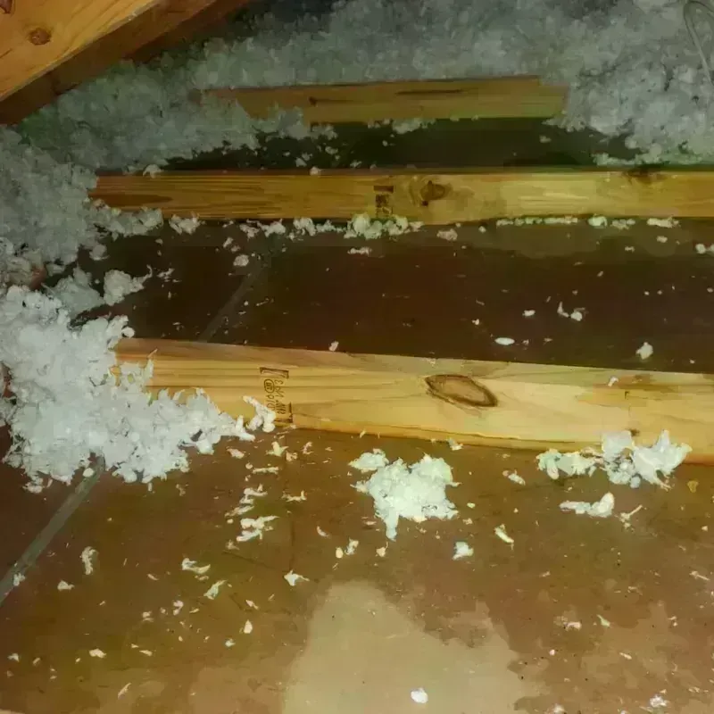 Attic Water Damage in Benicia, CA